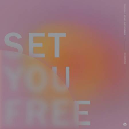 Set You Free (Moods Remix)