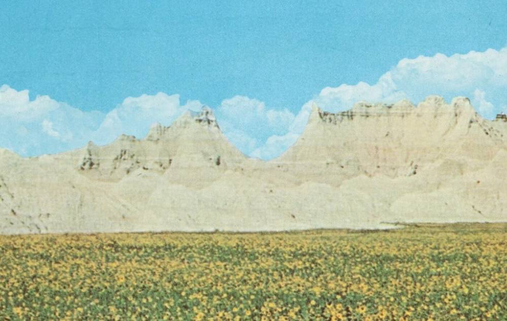 Album Review: Black Brunswicker Channels Southern Haze on New Album Dreams of a Sunflower River