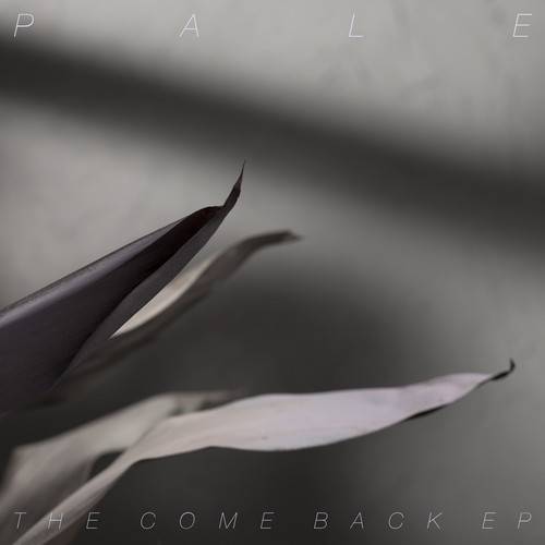 Album Review: Pale - The Comeback EP