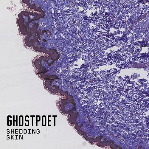 Album Review: Ghostpoet - Shedding Skin