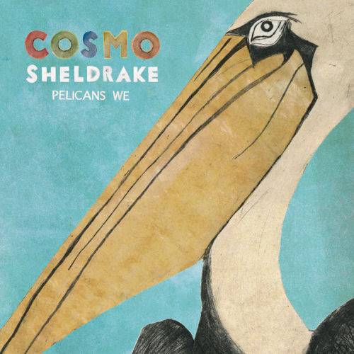 Video: Cosmo Sheldrake - Pelicans We