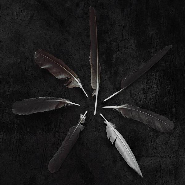 Album Review: Caspian - Dust & Disquiet