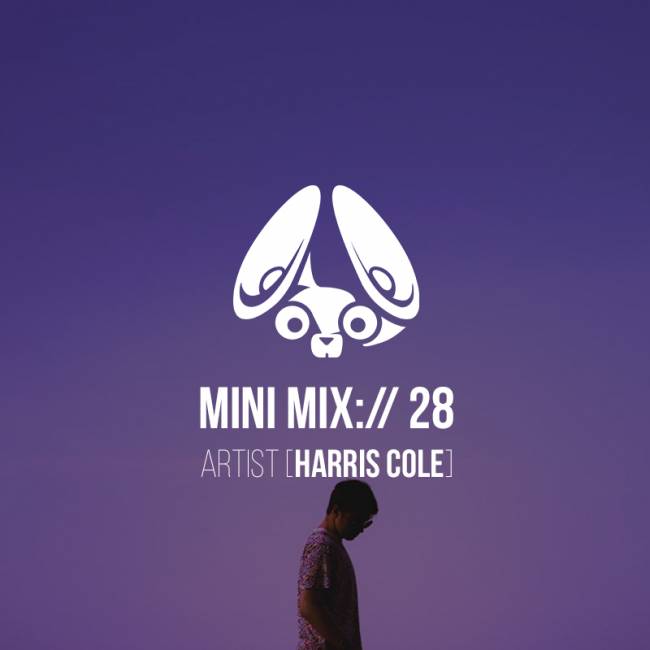 Stereofox Mini Mix://28 Artist (harris cole)