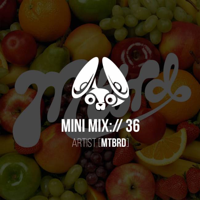 Stereofox Mini Mix://36 – Artist (mtbrd)