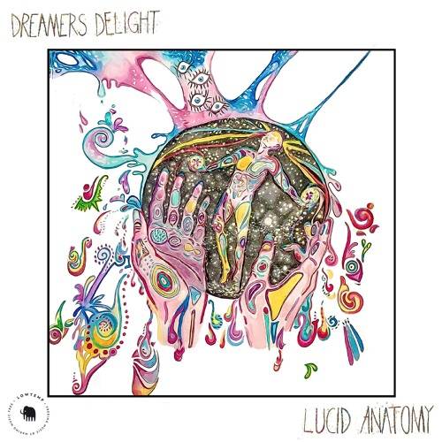 Album Review: Dreamers Delight - Lucid Anatomy