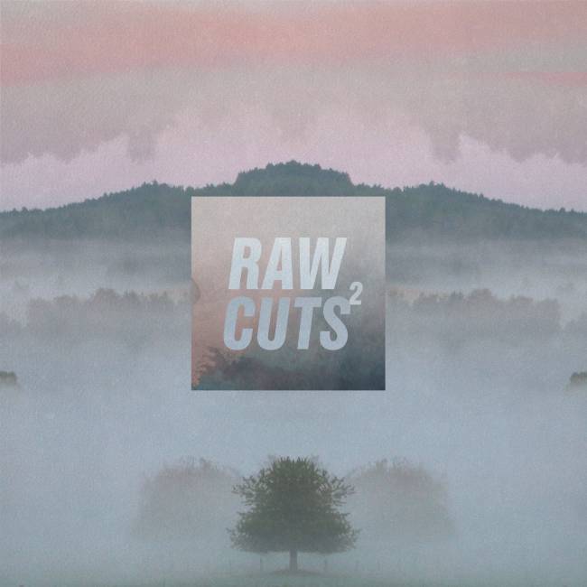 Album Review: Chillhop - Raw Cuts 2
