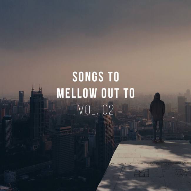 Stereofox Mix: Songs To Mellow Out To vol. 02