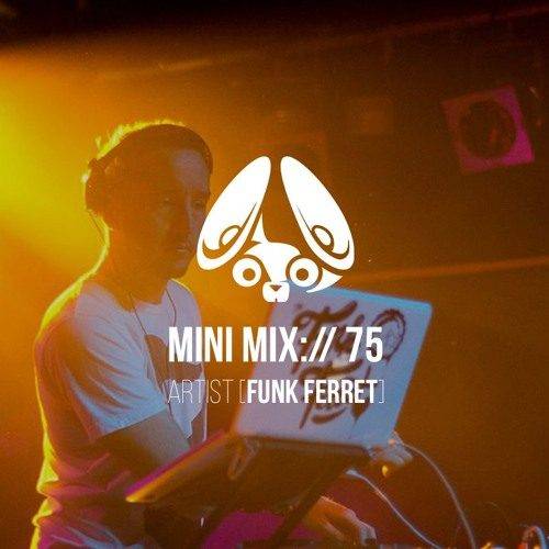 Interview: Funk Ferret (+mini mix)