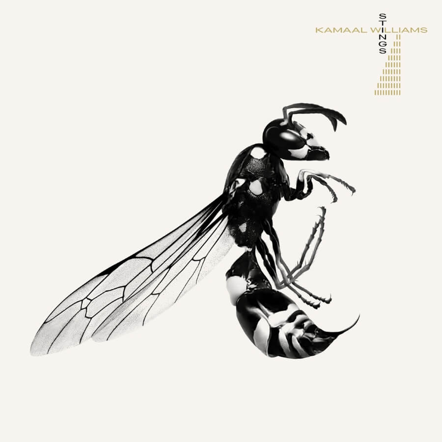 Kamaal Williams - Stings artwork album best 2023