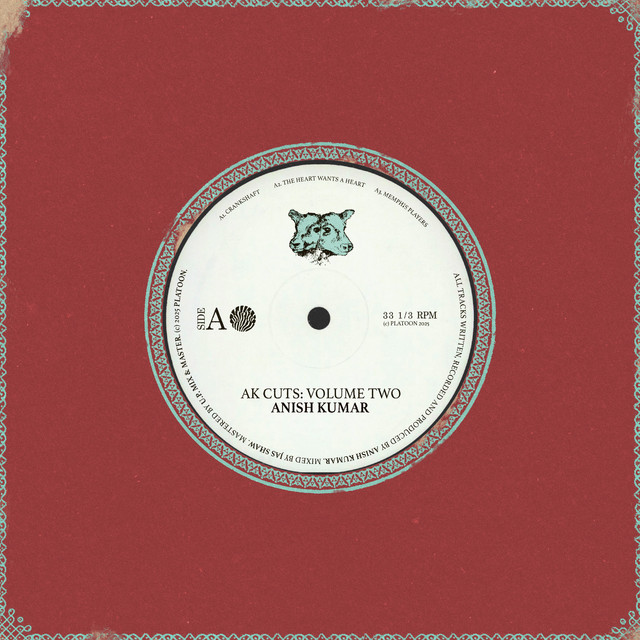 Anish Kumar - Memphis Players