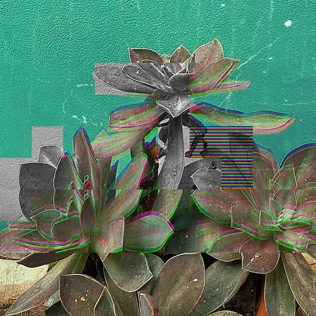 Donkeychote - Second Guessing