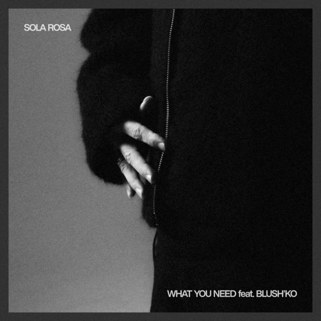 Sola Rosa - What You Need (ft. Blush'ko)