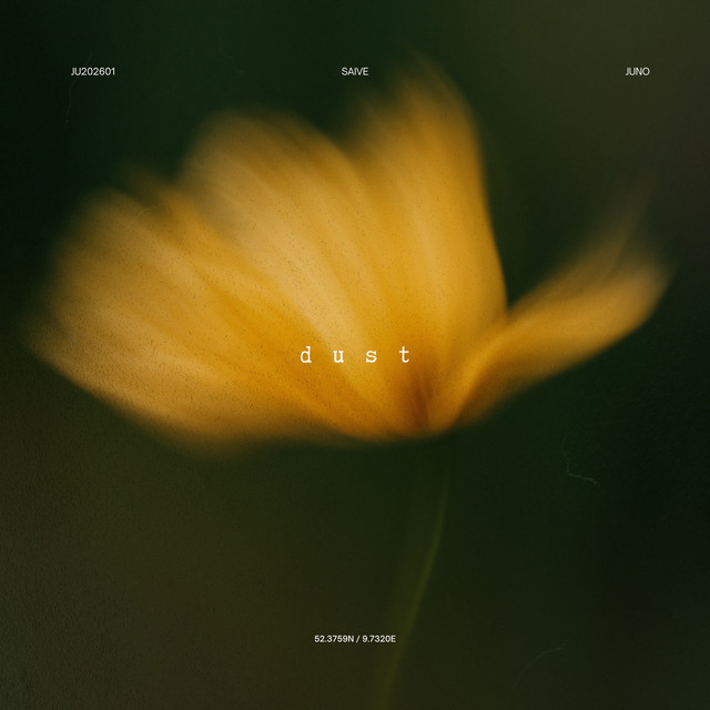Saive - Dust