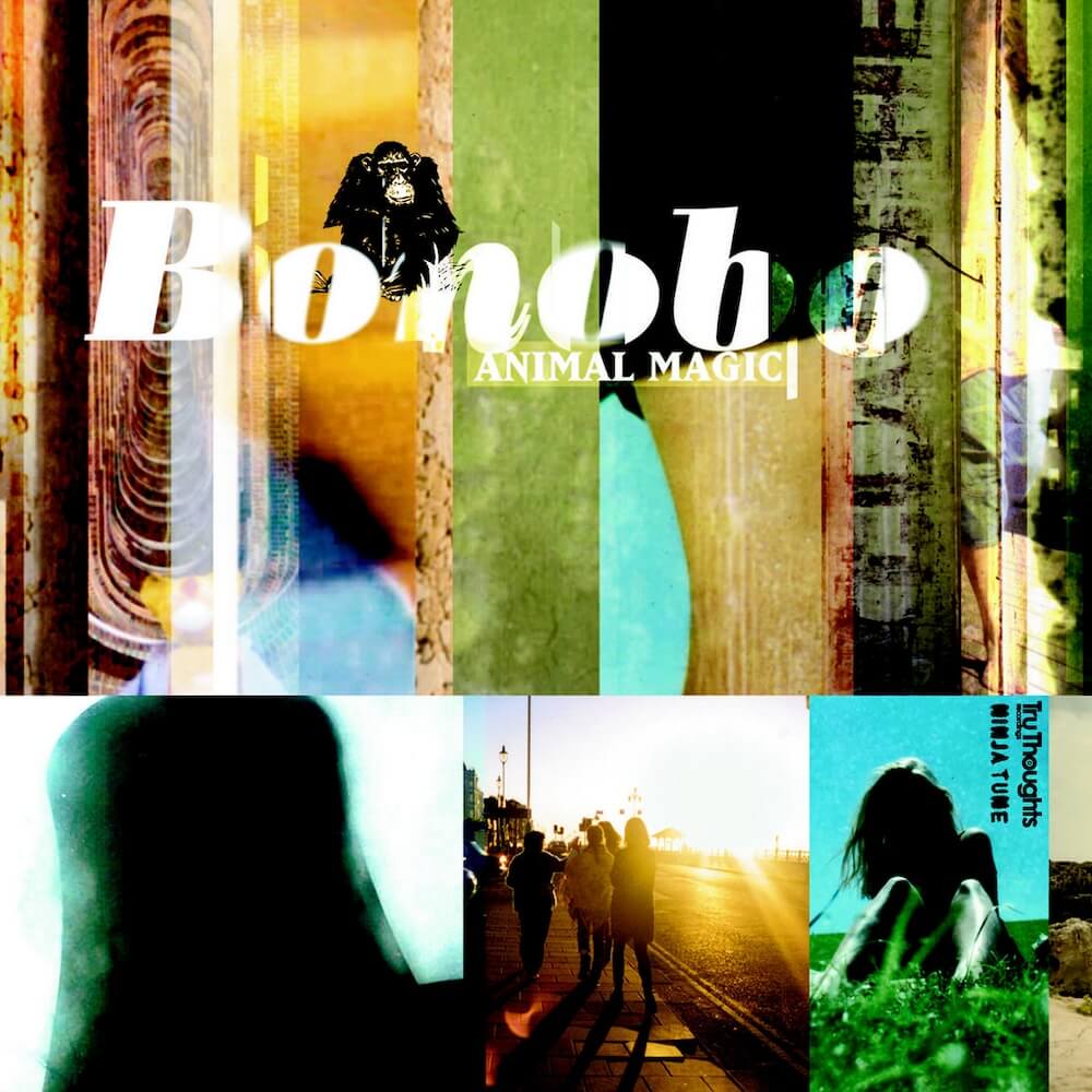 Bonobo Animal Magic Album Artwork
